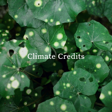 Climate credits